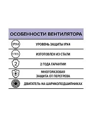 Вентилятор накладной STORM 300 2полюс ERA PRO